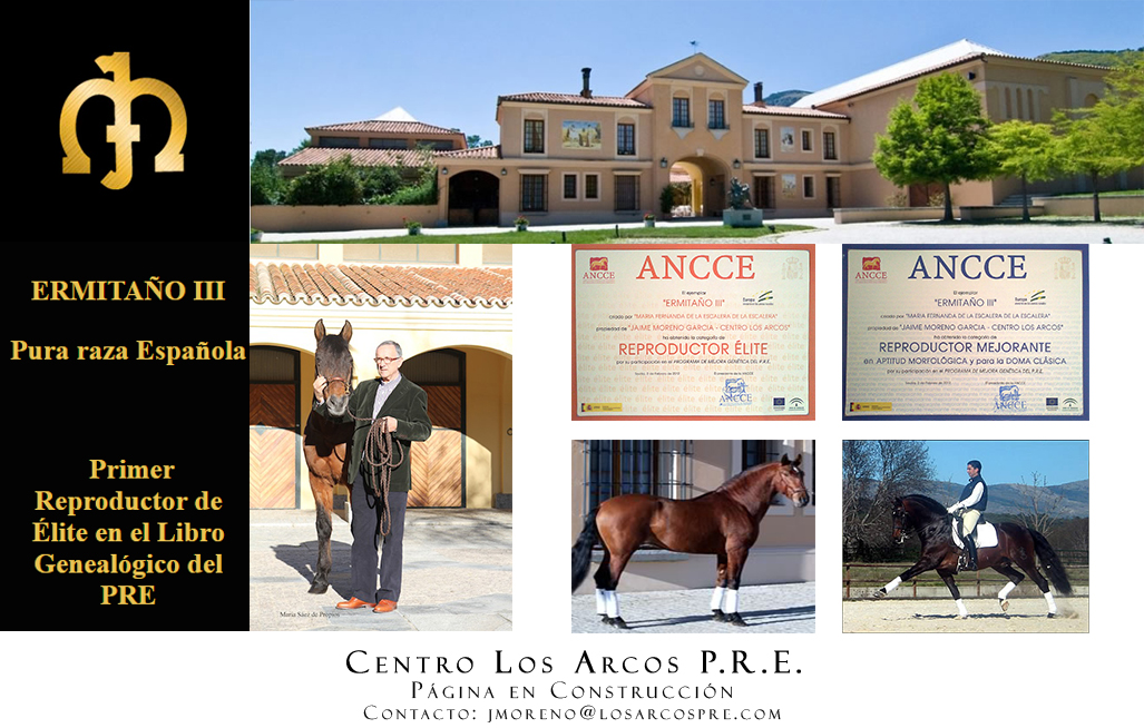 Centro Los Arcos PRE